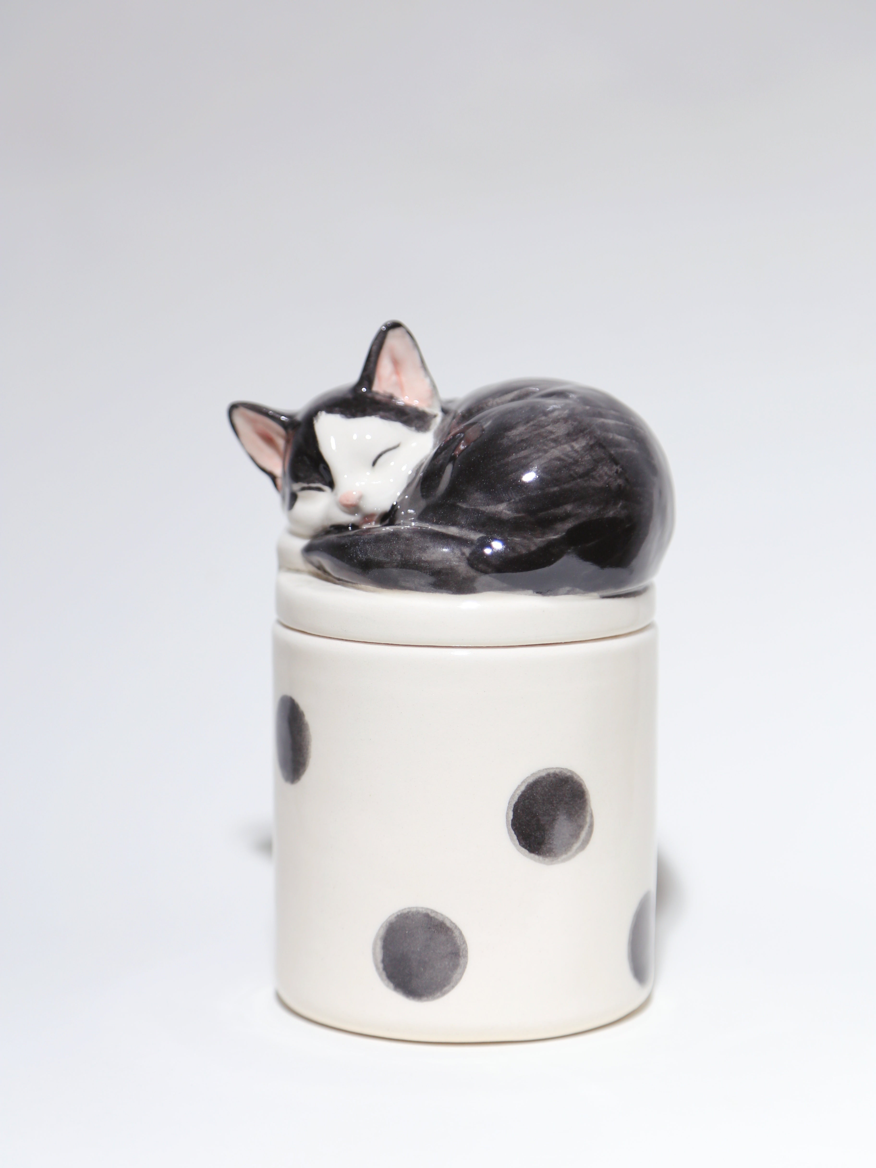 Cat Urn - Pet Handmade Urn